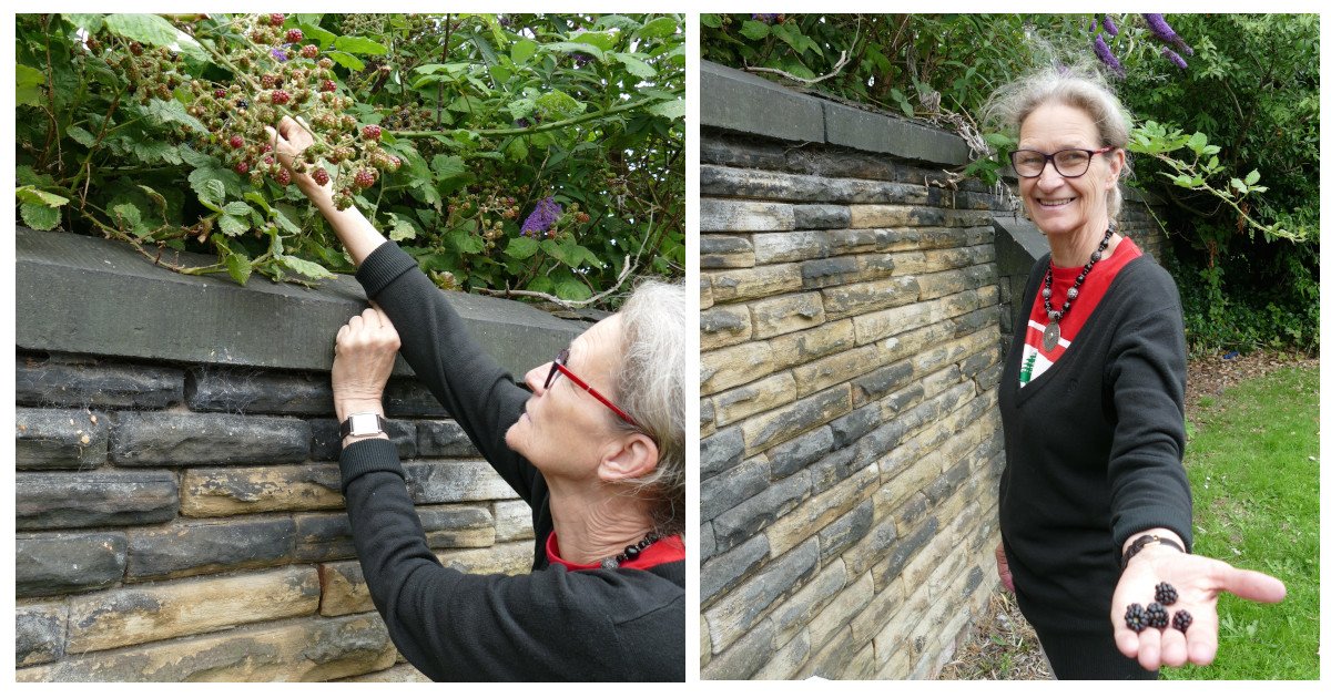 Two photographs of Lena going blackberrying. In the left-hand photo, she's reaching up to pick the berries from the bush. In the right-hand photo she's proudly holding out her left hand, showing the berries she's collected.