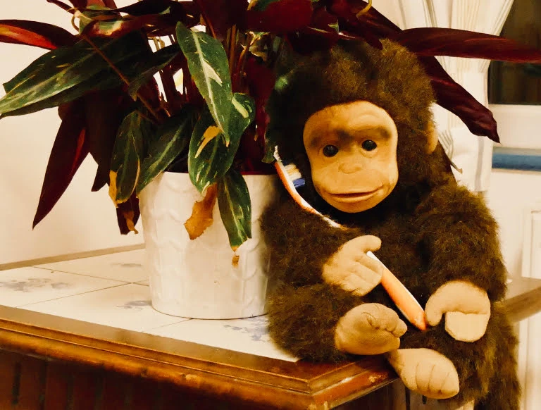 A cuddly monkey glove-puppet
